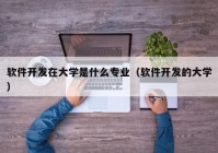 軟件開發在大學(xué)是什麽專業（軟件開發的(de)大學(xué)）