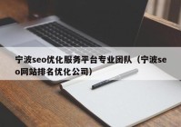 甯波seo優化服務平台專業團隊（甯波seo網站排名優化公司）