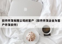 軟件開發有(yǒu)限公司的(de)客戶（軟件開發企業為(wèi)客戶開發軟件）