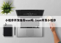 小程序開發推薦vue嗎（vue開發小程序）