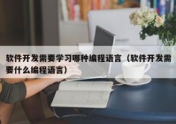 軟件開發需要學(xué)習哪種編程語言（軟件開發需要什麽編程語言）